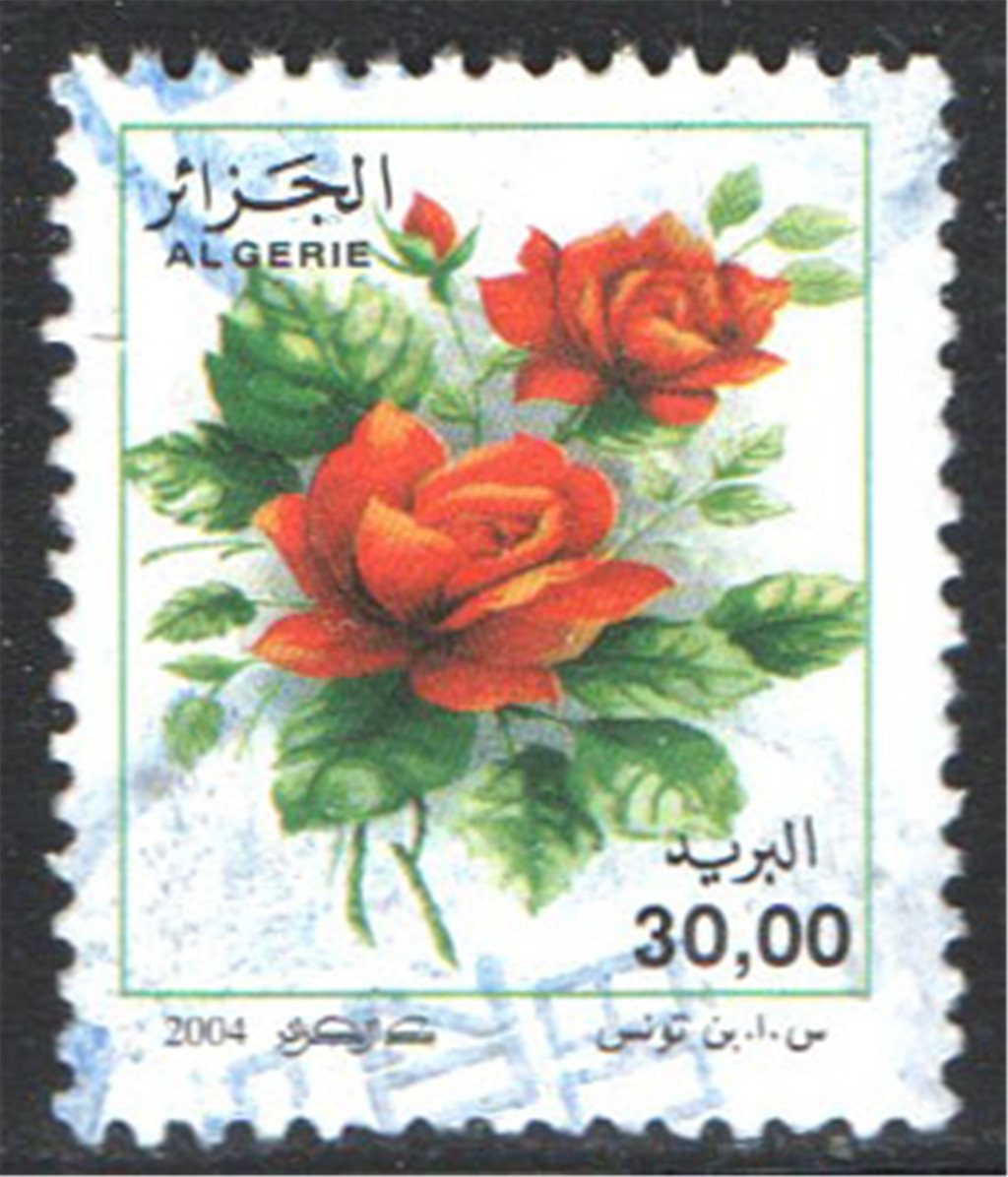 Algeria Scott 1315 Used - Click Image to Close